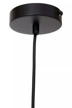 Vega Black Cage Pendant Light