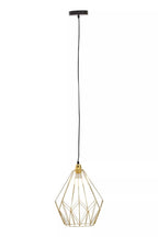 Vega Champagne Gold Frame Pendant light