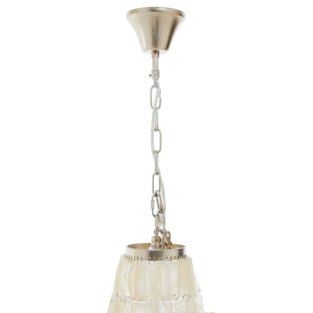 Bianca 8 Bulb Seashell Chandelier