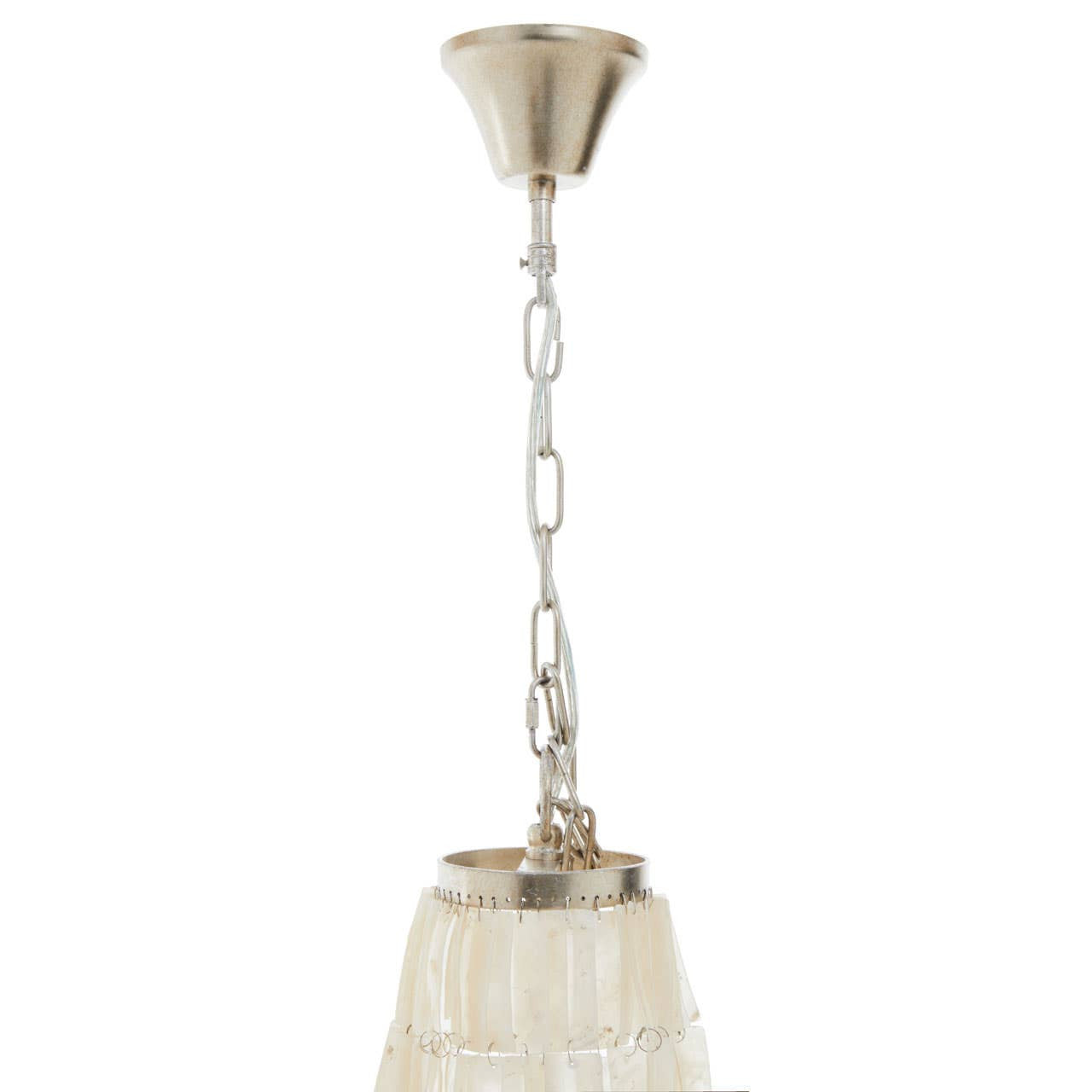 Bianca 8 Bulb Seashell Chandelier