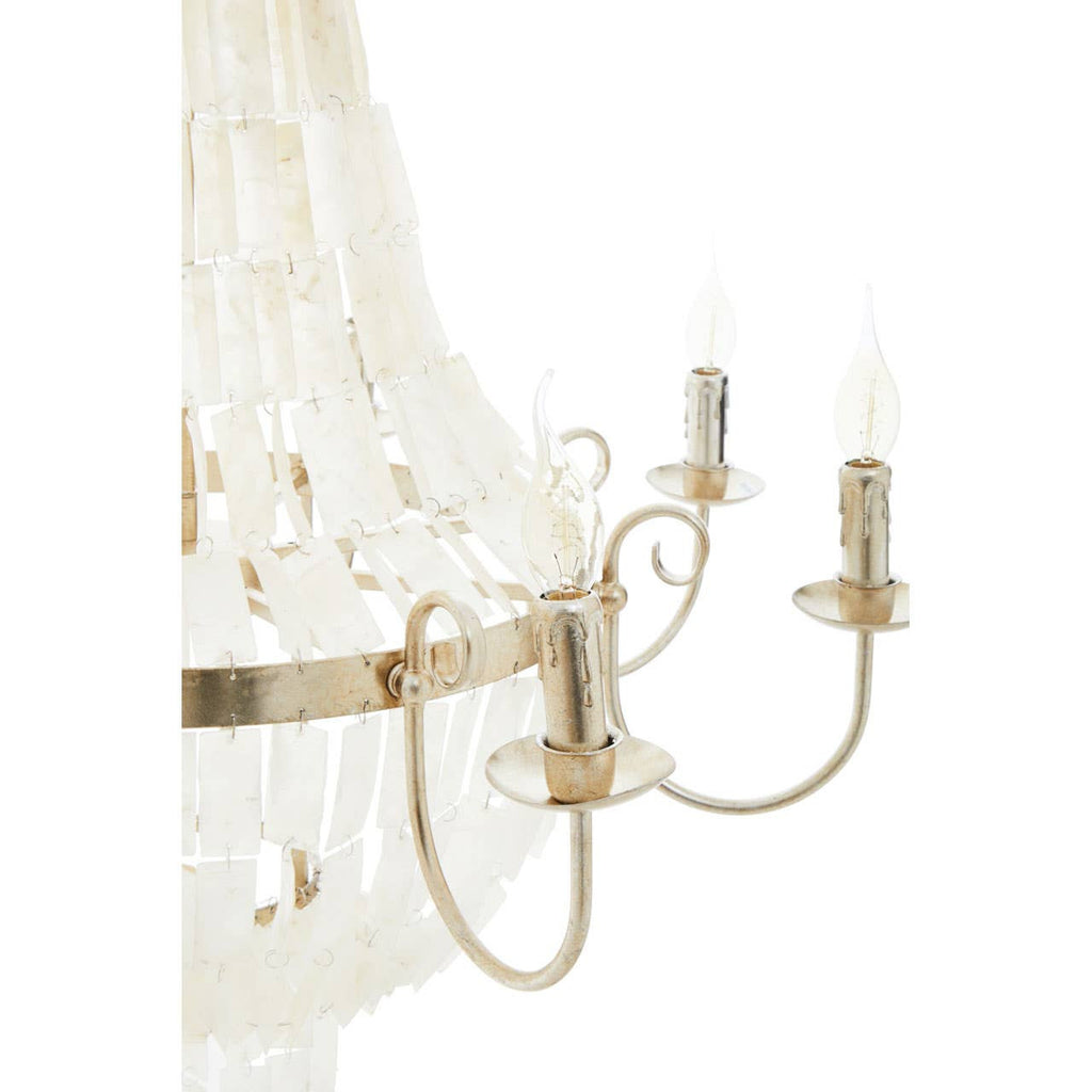 Bianca 8 Bulb Seashell Chandelier