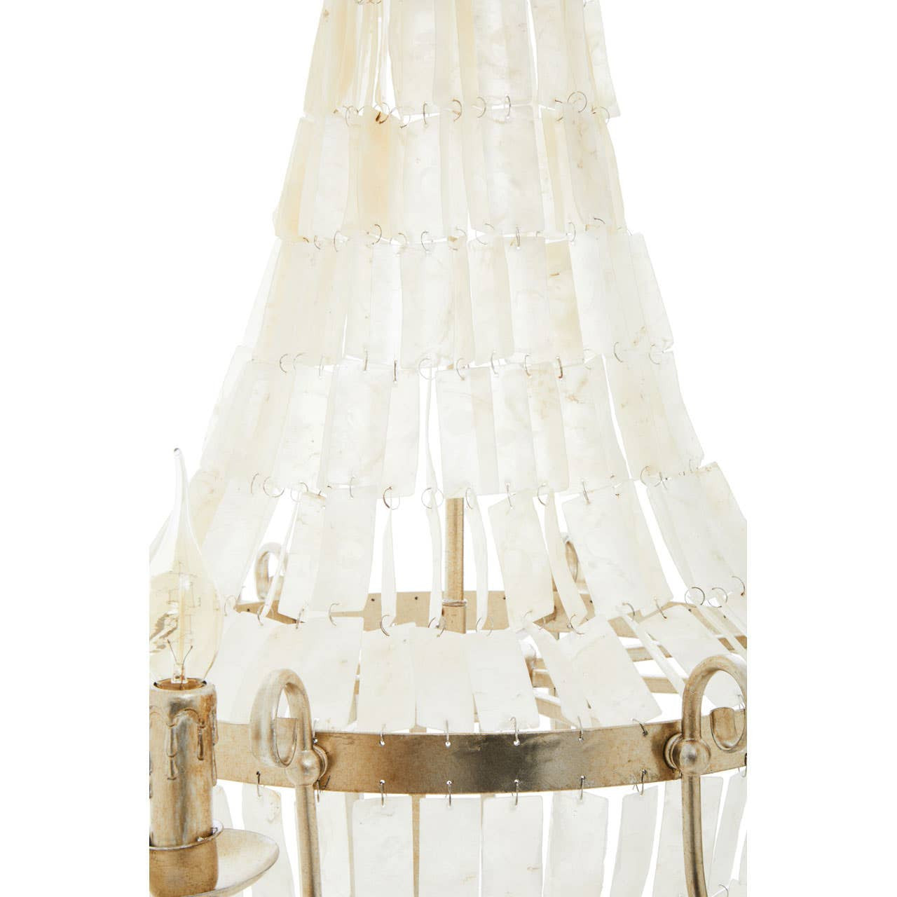 Bianca 8 Bulb Seashell Chandelier