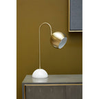 Halley Globe Shaped Desk Lamp