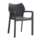 DIVA Arm Chair
